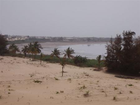 lac rose